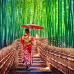 tokyo guided tours