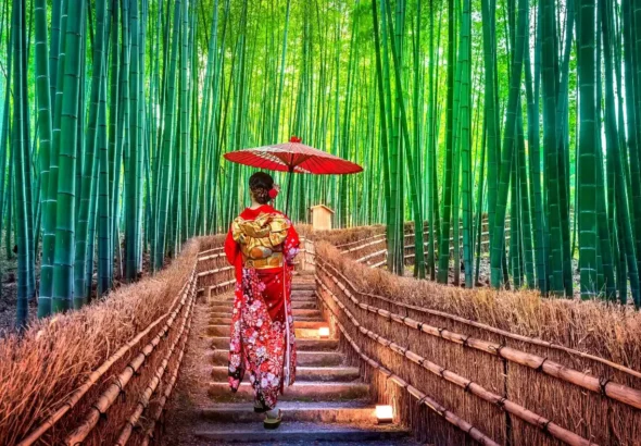 tokyo guided tours