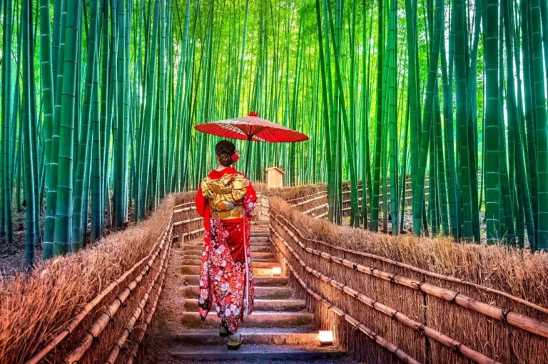 tokyo guided tours